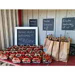 Obst- Und Weingut Ingenhof