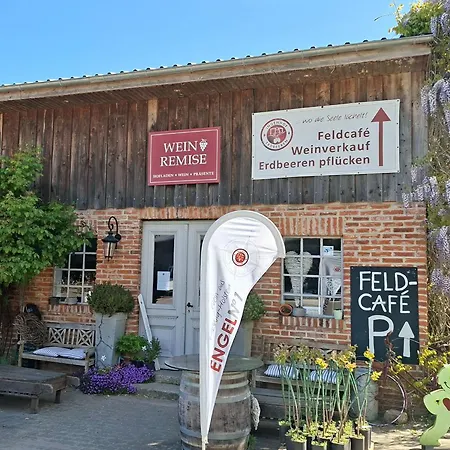 Obst- Und Weingut Ingenhof Apartamento *