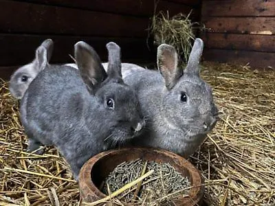 Obst- Und Weingut Ingenhof
