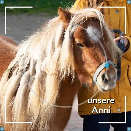 Apartamento Obst- Und Weingut Ingenhof