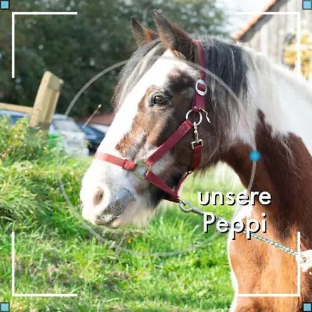 Obst- Und Weingut Ingenhof