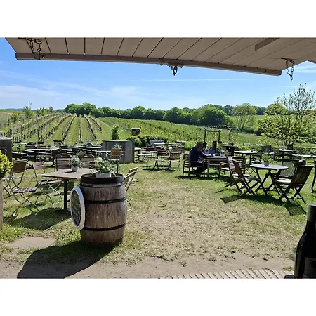 Obst- Und Weingut Ingenhof *