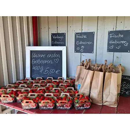 Obst- Und Weingut Ingenhof