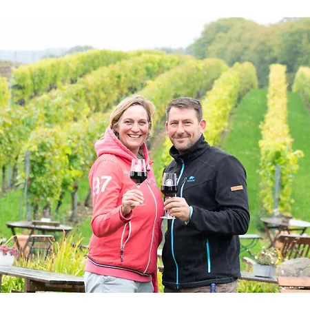 Obst- Und Weingut Ingenhof Apartamento