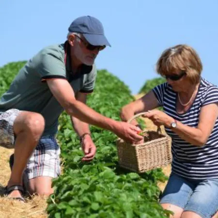 Apartamento Obst- Und Weingut Ingenhof