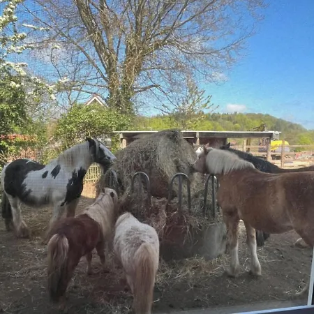 Obst- Und Weingut Ingenhof Apartamento