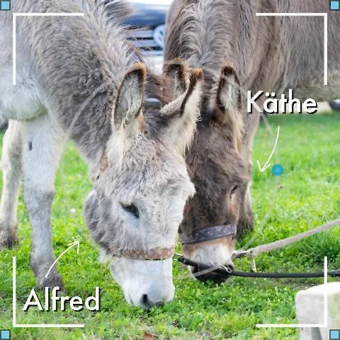 Obst- Und Weingut Ingenhof *